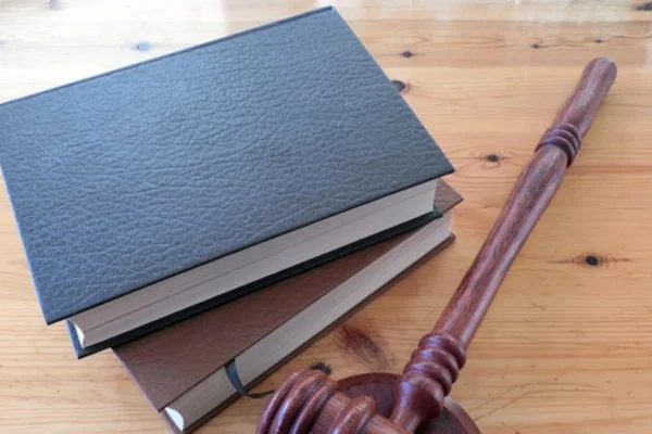 Italy's Pioneering AI Law Sets EU Standard