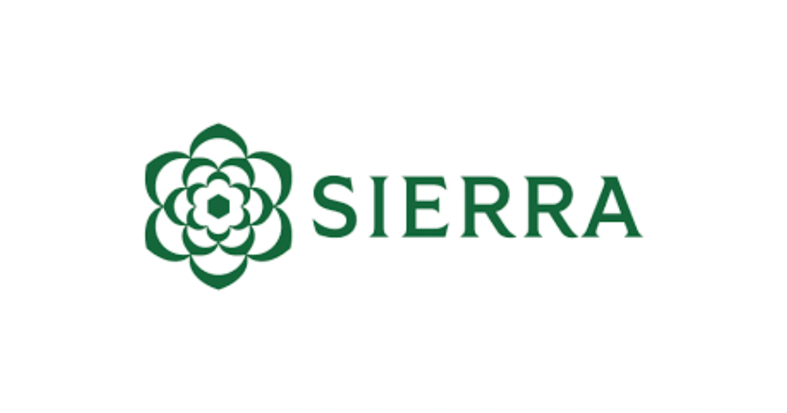 Sierra AI Raises $350M at $10B Valuation for AI Chatbots
